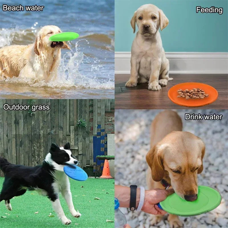 Multicolor Flying Disc