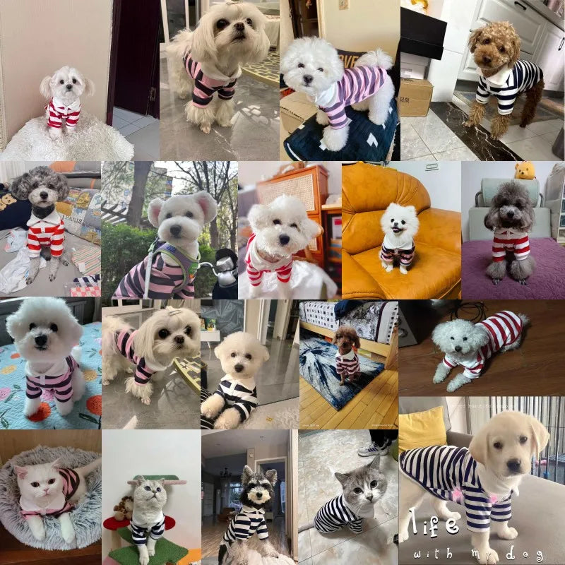 Striped Pet Polo Shirt