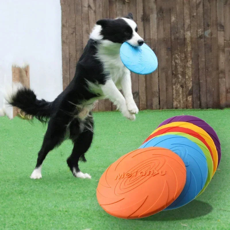Multicolor Flying Disc