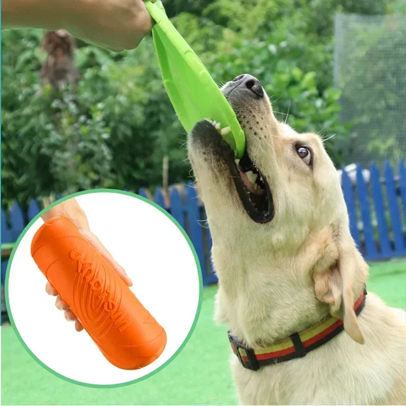 Multicolor Flying Disc