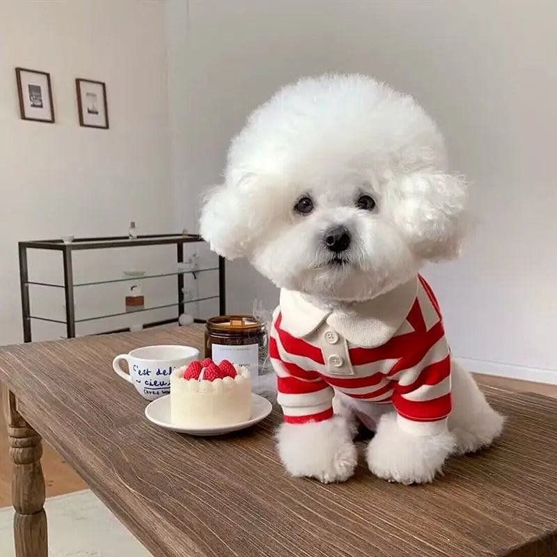 Striped Pet Polo Shirt