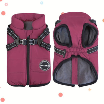 , Adjustable Buckle And Double D-Ring Harness For Small, Medium, And Large Dogs