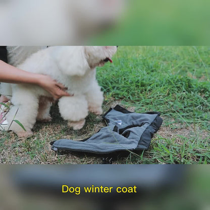 , Adjustable Buckle And Double D-Ring Harness For Small, Medium, And Large Dogs