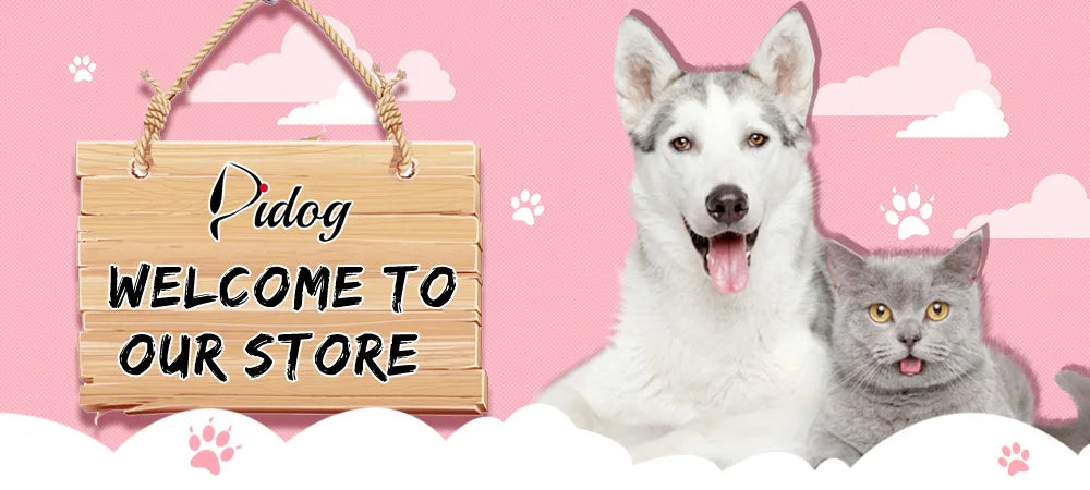 Dog Collar with pocket for Air-Tag