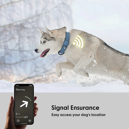 Dog Collar with pocket for Air-Tag