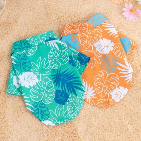 Beach Dog-Shirts