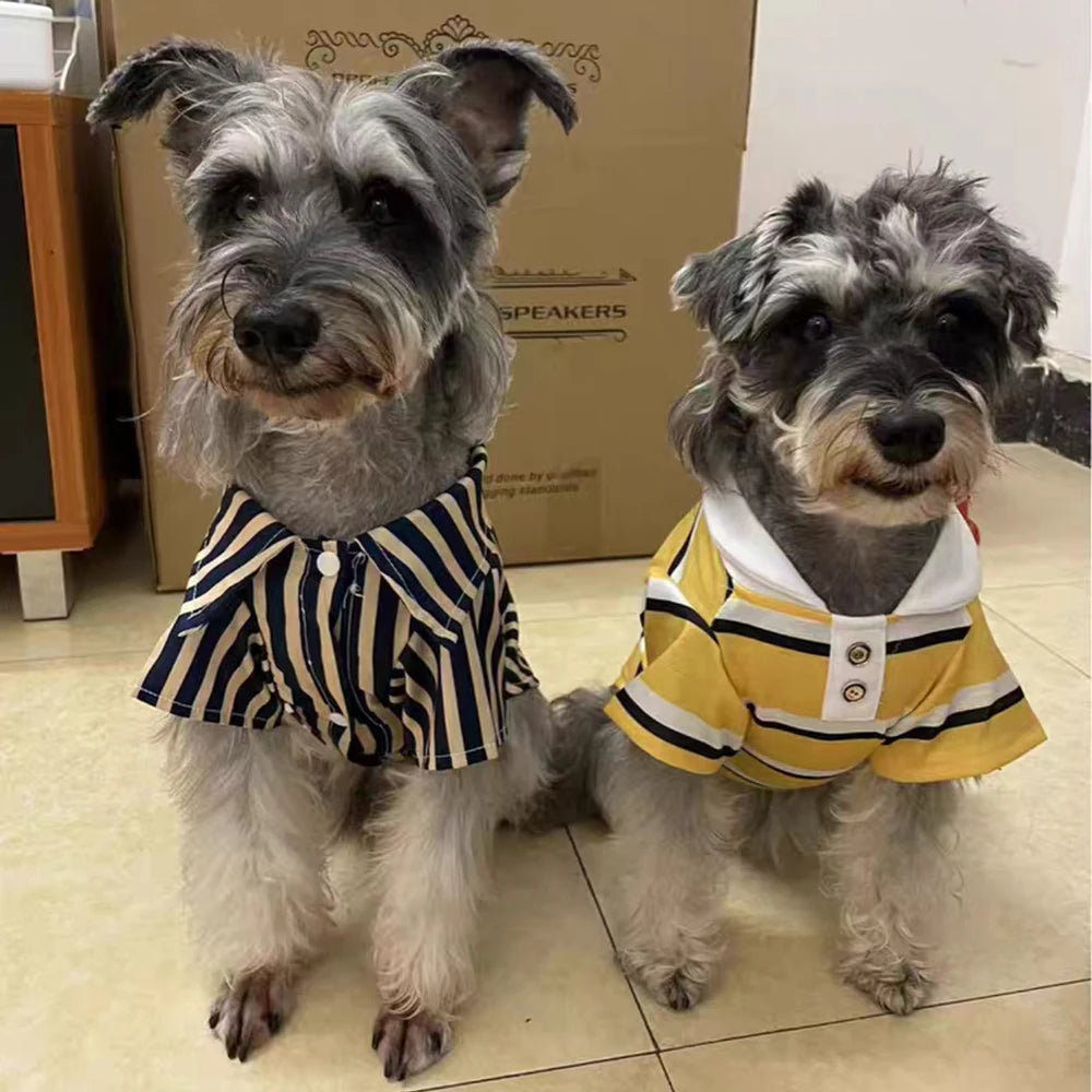 Dog Polo Striped Shirt
