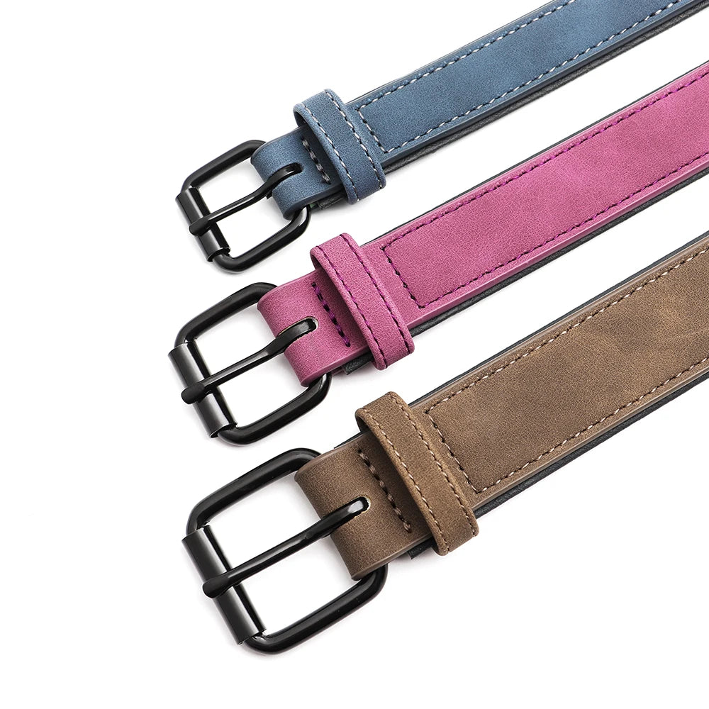 Dog Collar with pocket for Air-Tag