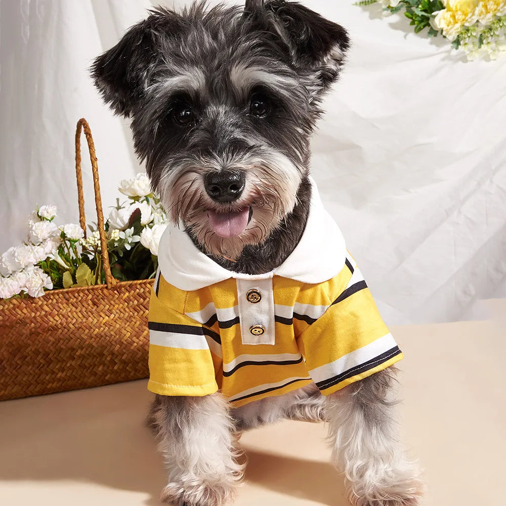 Dog Polo Striped Shirt