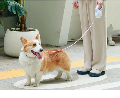 LED Retractable Leash with light