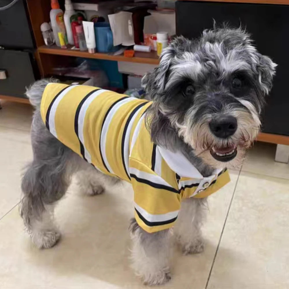 Dog Polo Striped Shirt