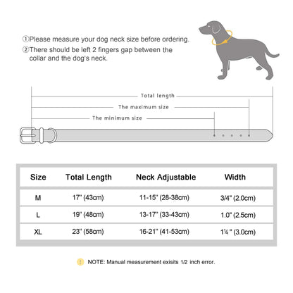 Dog Collar with pocket for Air-Tag