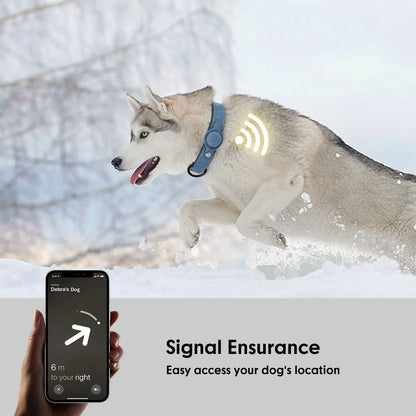 Dog Collar with pocket for Air-Tag