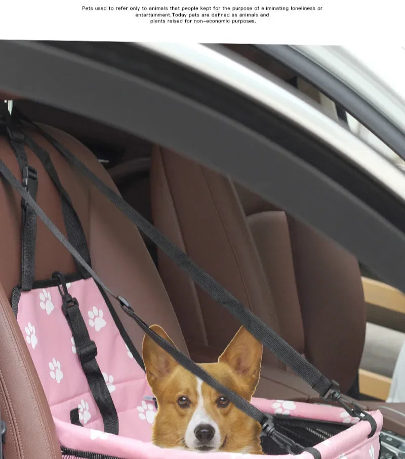 Pet Car Carrier