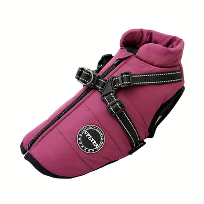 , Adjustable Buckle And Double D-Ring Harness For Small, Medium, And Large Dogs